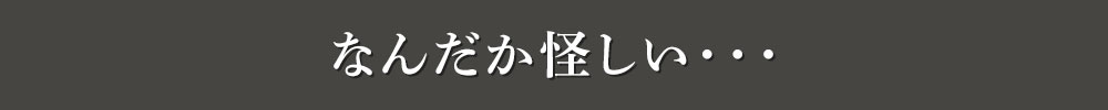 なんだか怪しい・・・